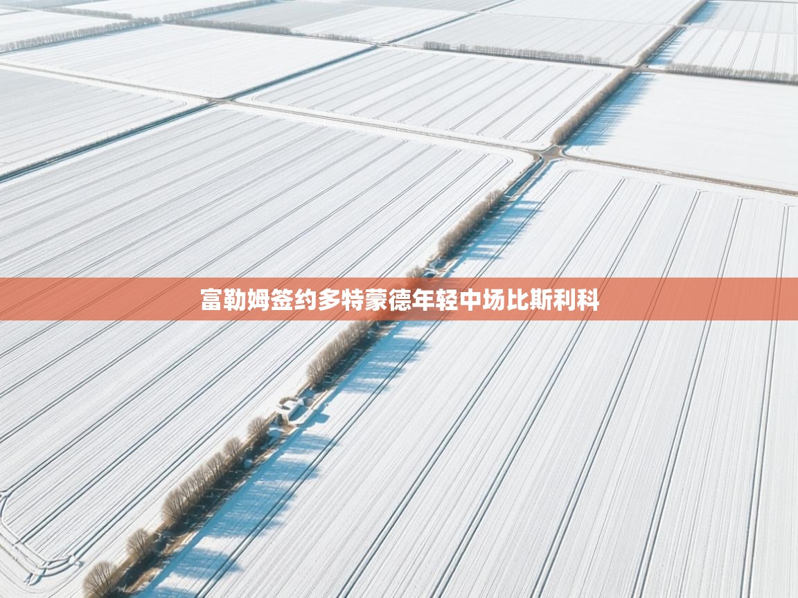 富勒姆签约多特蒙德年轻中场比斯利科  第1张