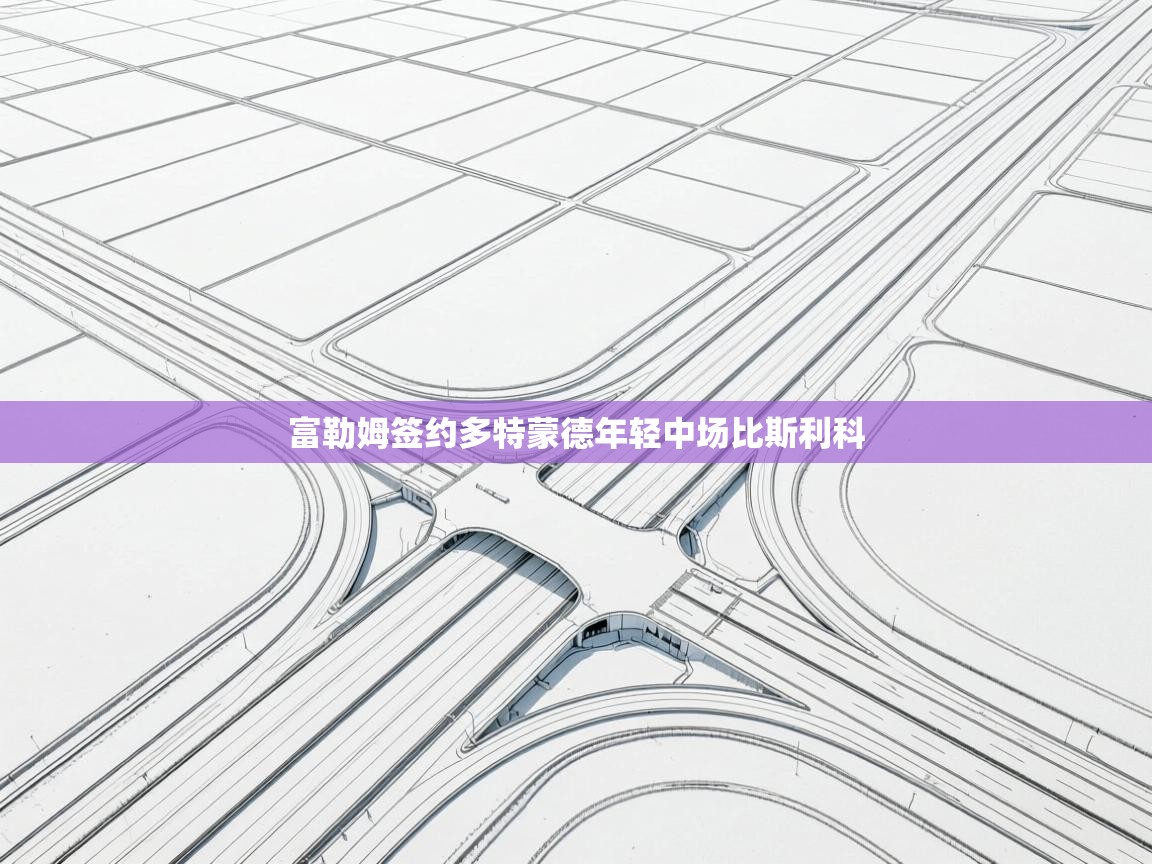 富勒姆签约多特蒙德年轻中场比斯利科  第2张