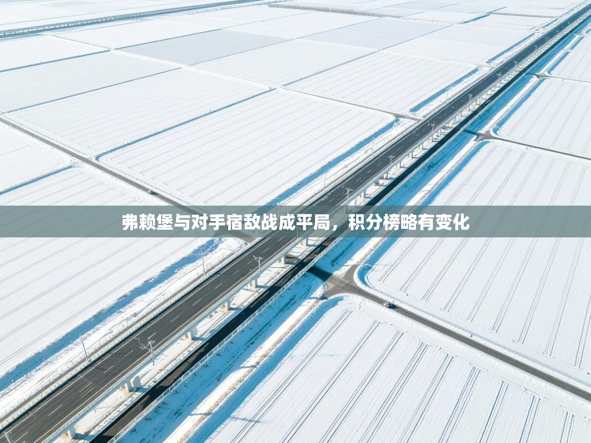 弗赖堡与对手宿敌战成平局，积分榜略有变化  第1张