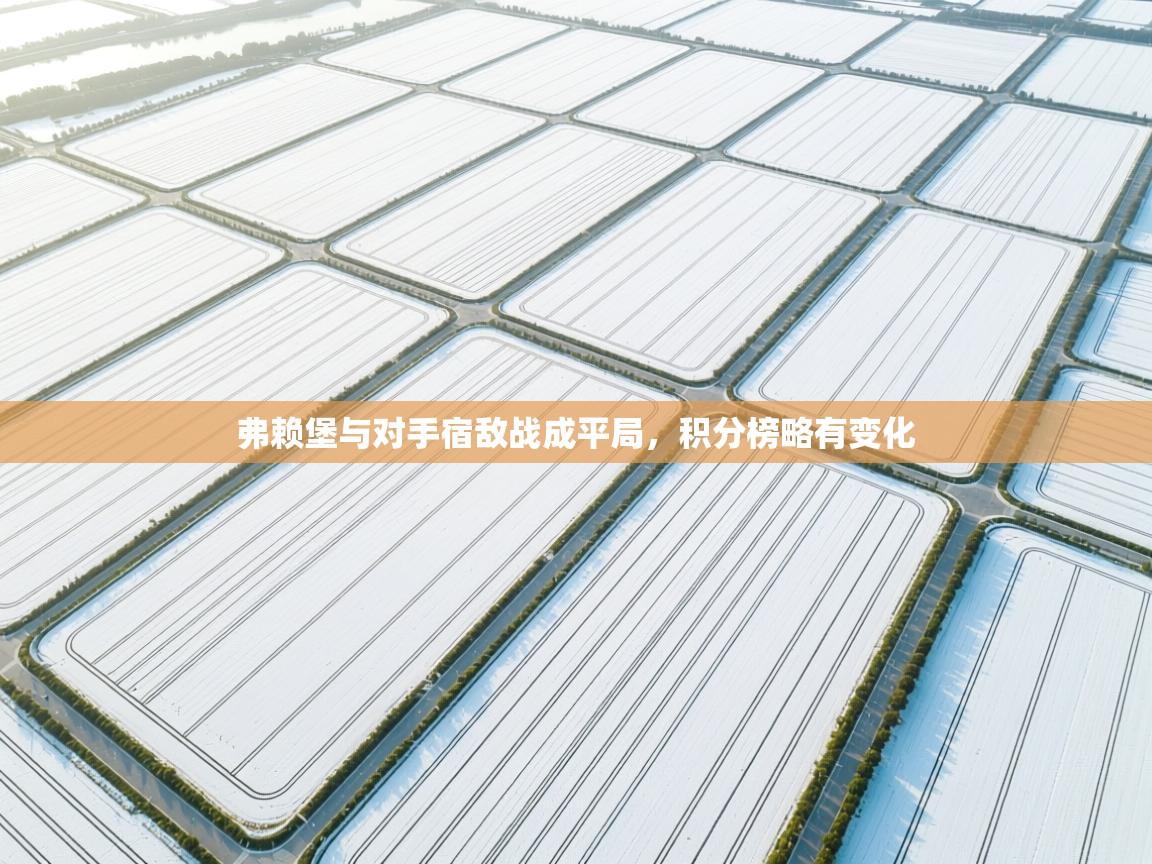 弗赖堡与对手宿敌战成平局，积分榜略有变化  第2张