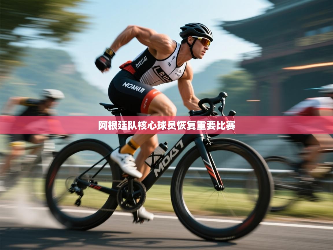 阿根廷队核心球员恢复重要比赛 第1张